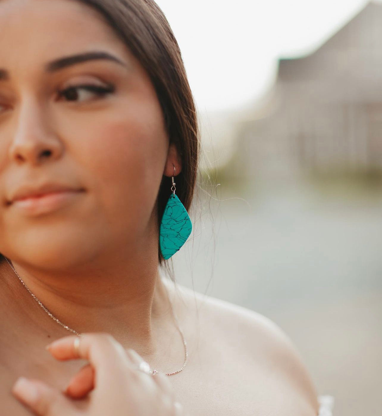 Western Clay Earrings