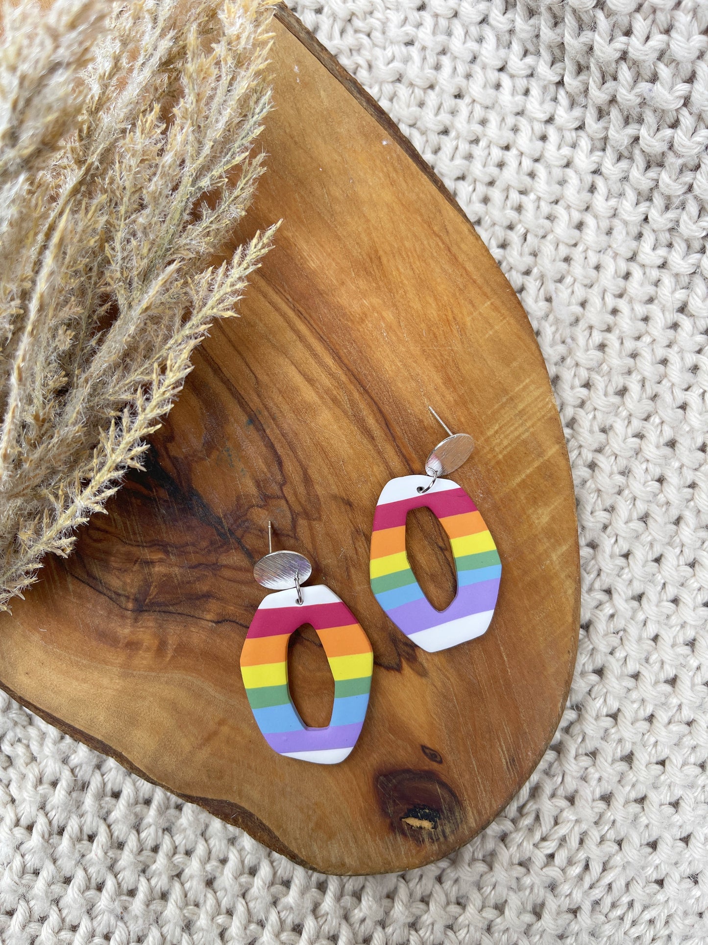 Pride Clay Earrings